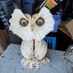 Owl Made Of Shells