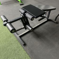 Leg extension & Leg curl