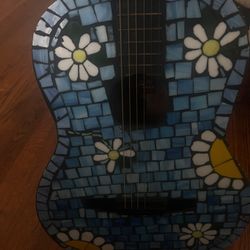 Rouge Starter Acoustic Guitar 