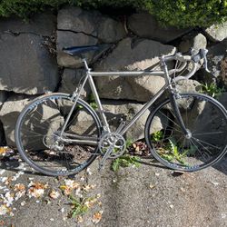 Litespeed Classic Titanium Frame Road Bike 