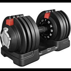 22 in 1 adjustable dumbbell 