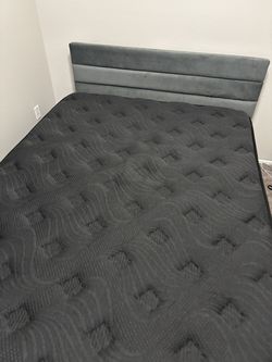 Queen Bed Set - 14" Pillow-Top Mattress + Gray Velvet Platform Frame