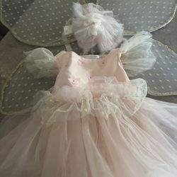 Pottery Barn Kids Fairy Costume