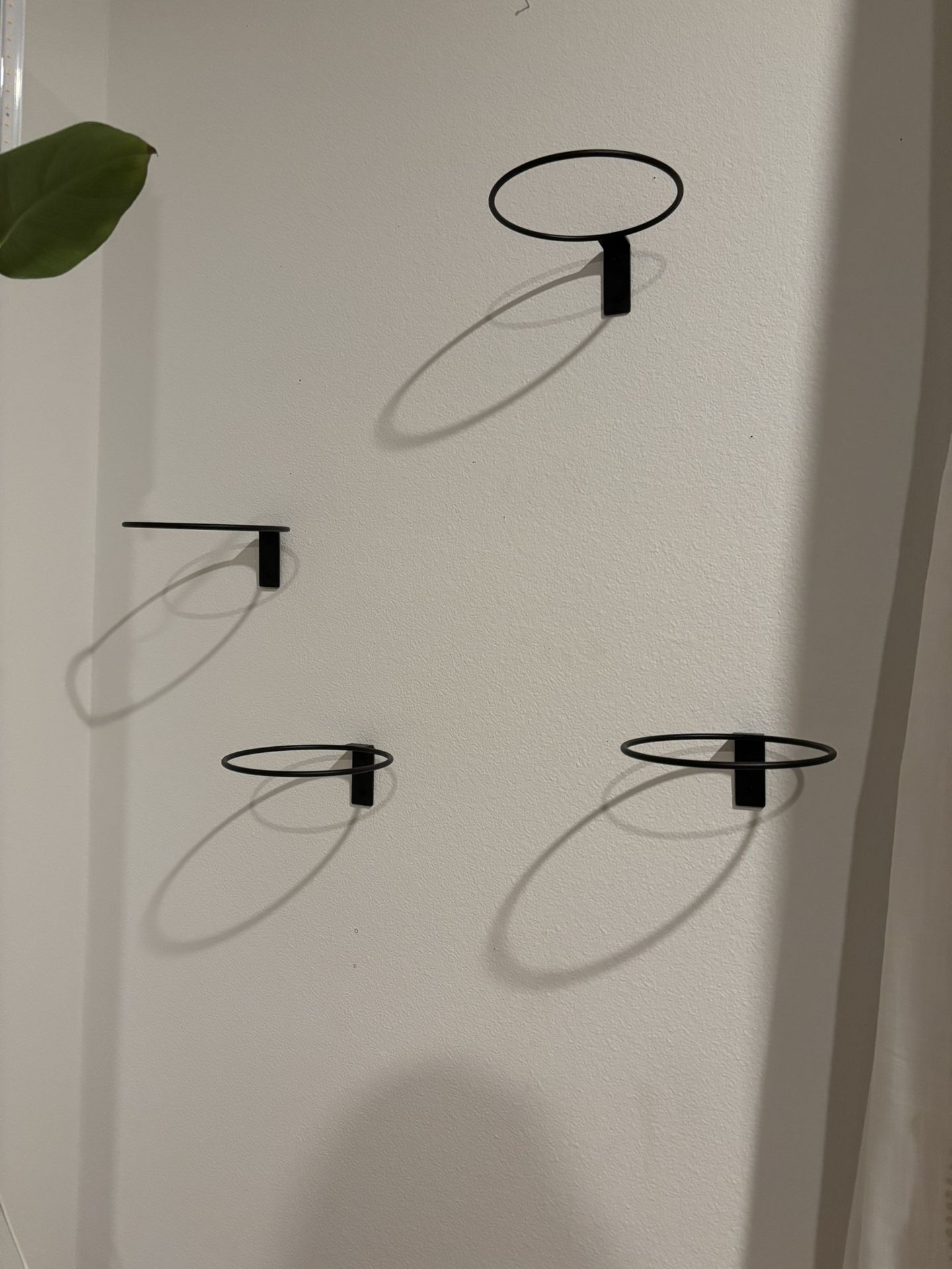 Plant holders