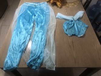 Jasmine Costume