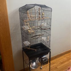 Bird Cage 64-inch + Toys