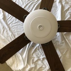 Clinging Fan