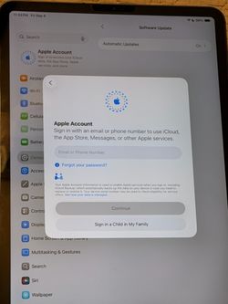 11inch iPad Pro 1st gen 1TB with Cellular. Unlocked, No iCloud Lock
