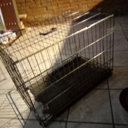 Dog Cage