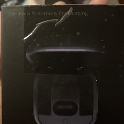 Beats Powerbeats pro charging case
