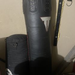 Two Punching Bags 