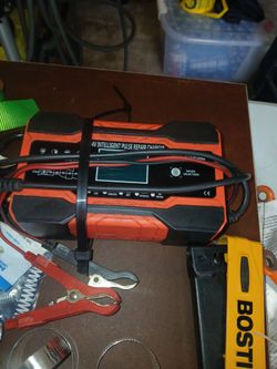 Intelligent Pulse Repair Battery Charger