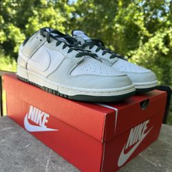 Phonton Dunks Size 13 