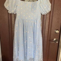 Spring Blue Dress 
