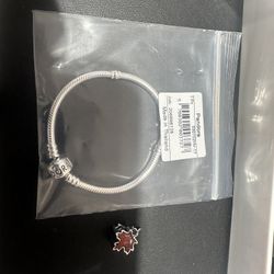 Charm & Bracelet Pandora