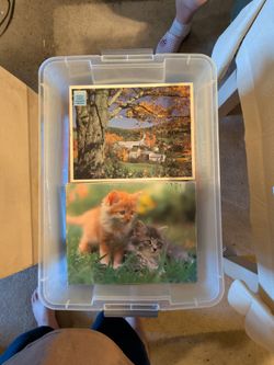 Box of puzzles