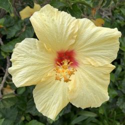 GARAGE SALE 256 E Garden Green. PH 93041