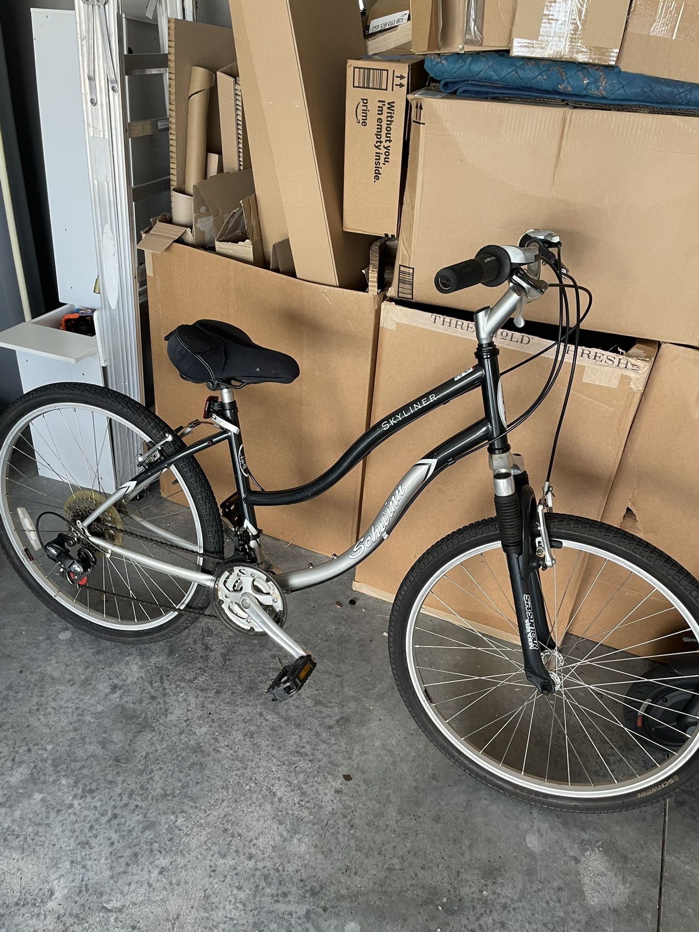 Adult Schwinn Bike