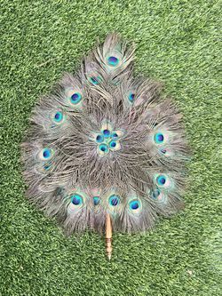 Peacock Feather Fan