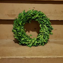 Boxwood Wreath Small 9 Inch