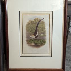 Antique Chinese Bird Litho