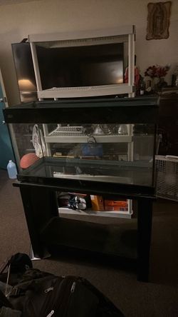 55 gallons saltwater fish tank