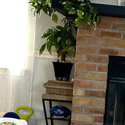 X2 (pair) Decorative Tables- Antiques