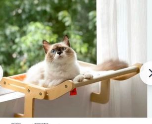 Cat perch house bed