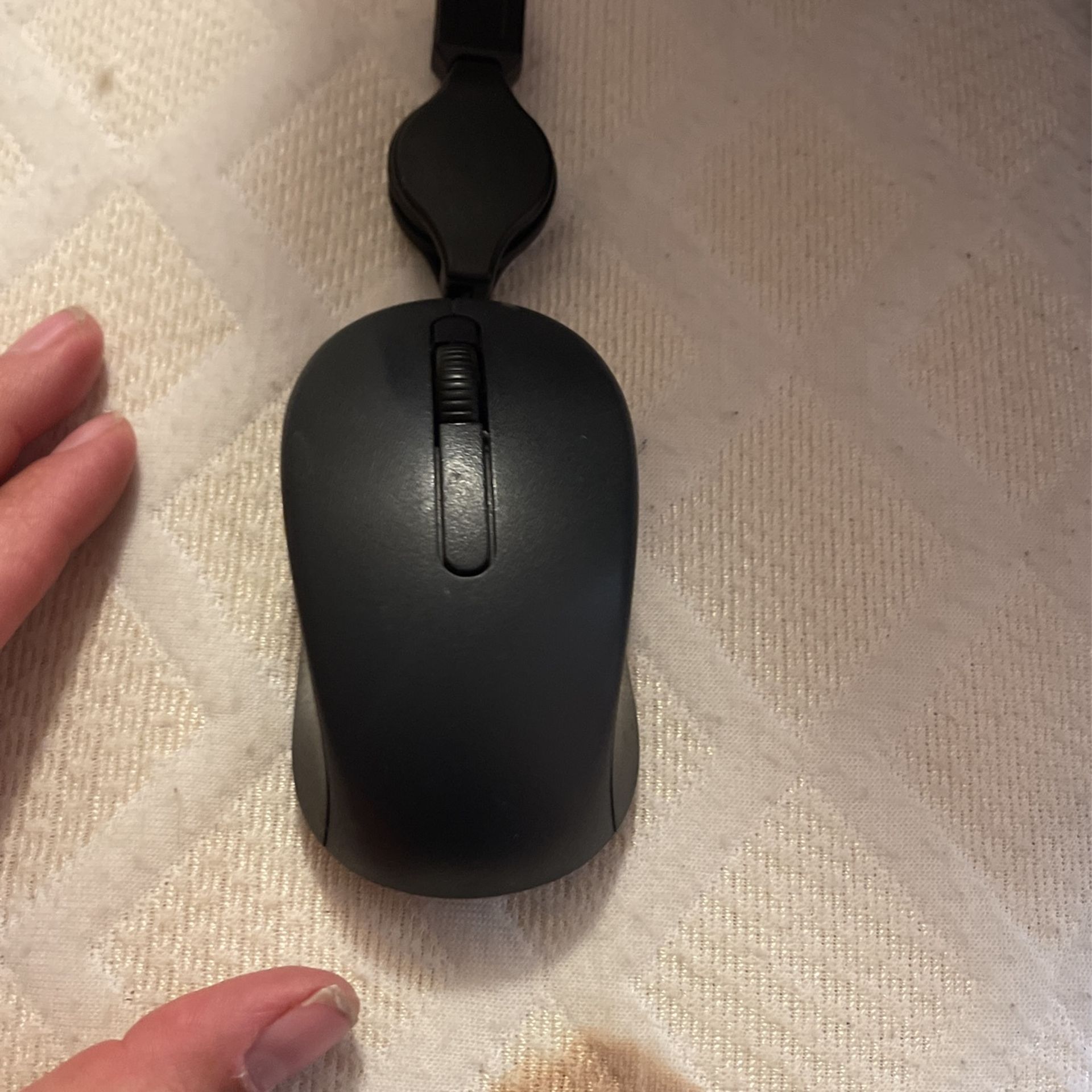 Mouse