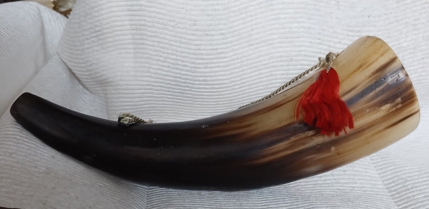 Viking Horn