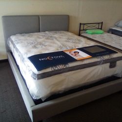 Queen Bed And 14 “ Hybrid Mattress