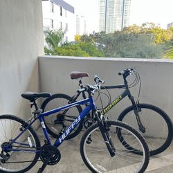 Two Bicycle $285