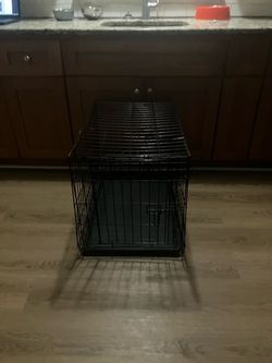 Dog cage Ava now