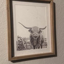 Highlander Cow Decor