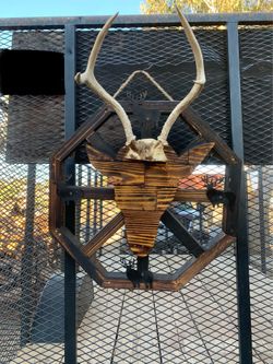 Decoration 🦌 Decoración