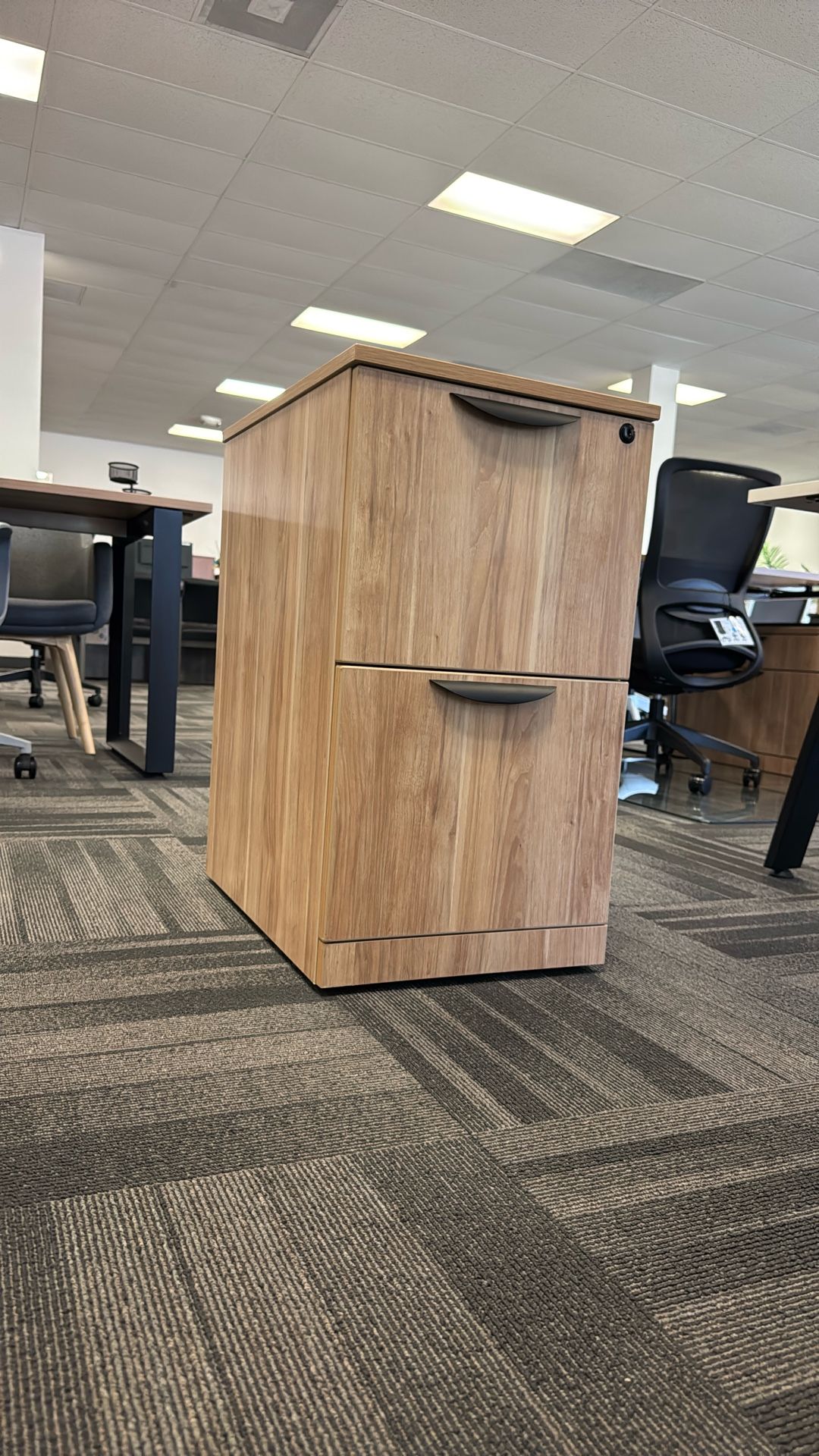 2 Drawer Mobile Vertical File Cabinet