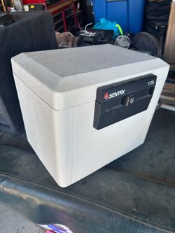 Sentry Safe Document