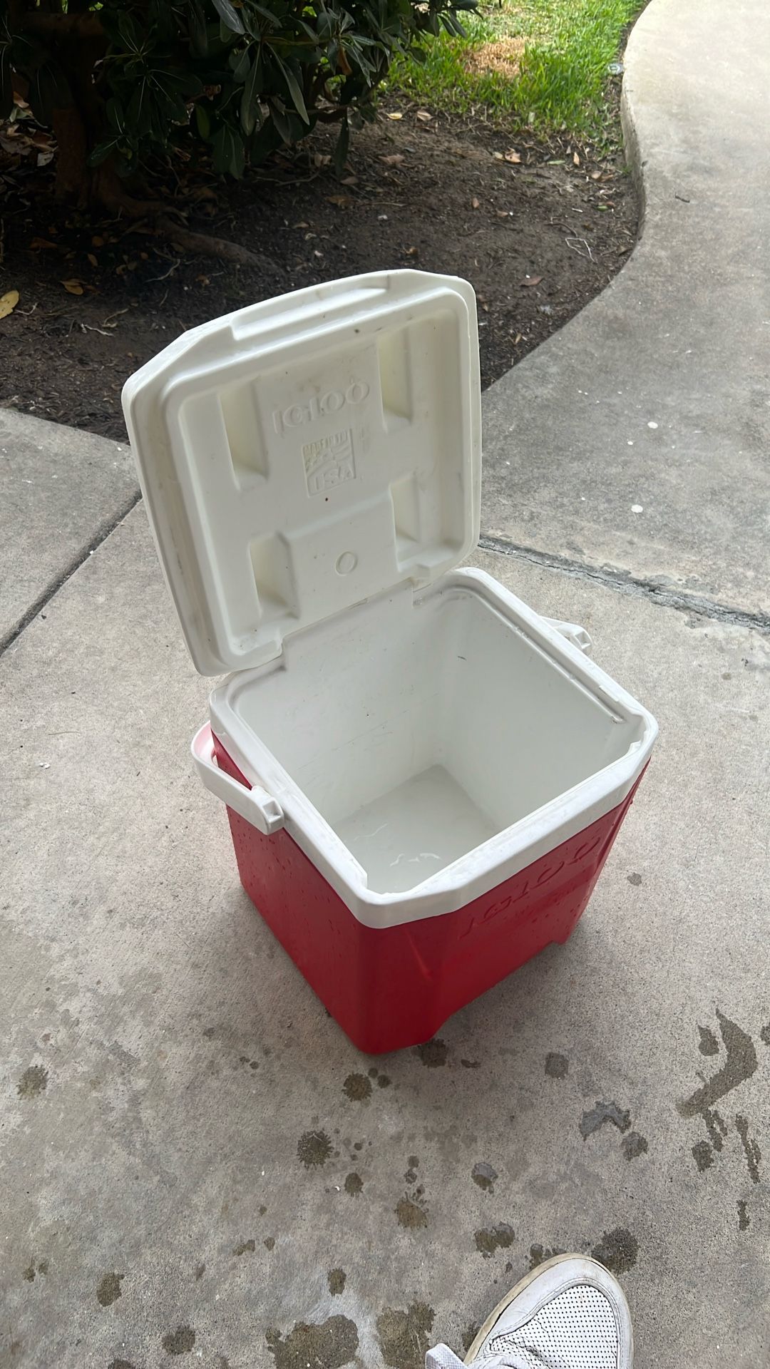 Small Igloo Cooler