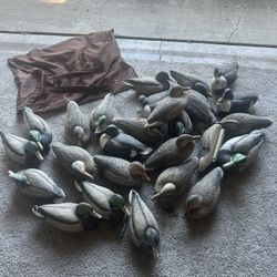 26 Duck Hunting Decoys With Bag And Weights