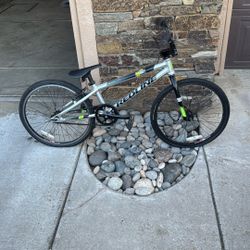 Redline 20 Inch Bike
