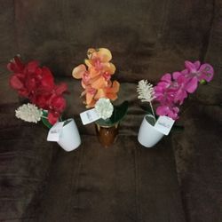 Flowers New $5 For All 3