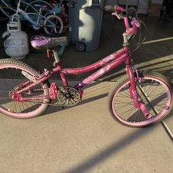Girls Purple 20 Inch Bike