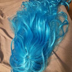 Blue Wig 