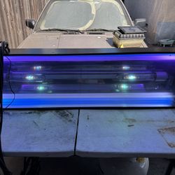 Aquarium Hamilton Lamp