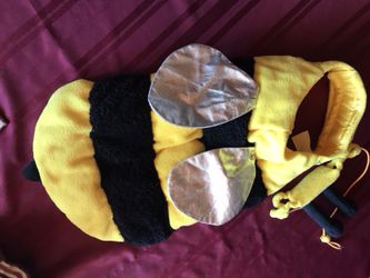 Dog Costume Bumble Bee. Size large