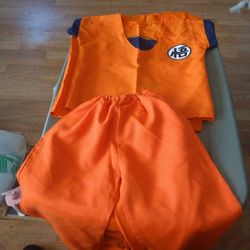 Dragonball Z  Boy Custom 