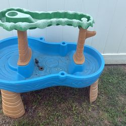 Water Table 