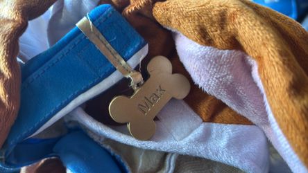Max costume size medium