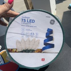 Outdoor Led Christmas Lights