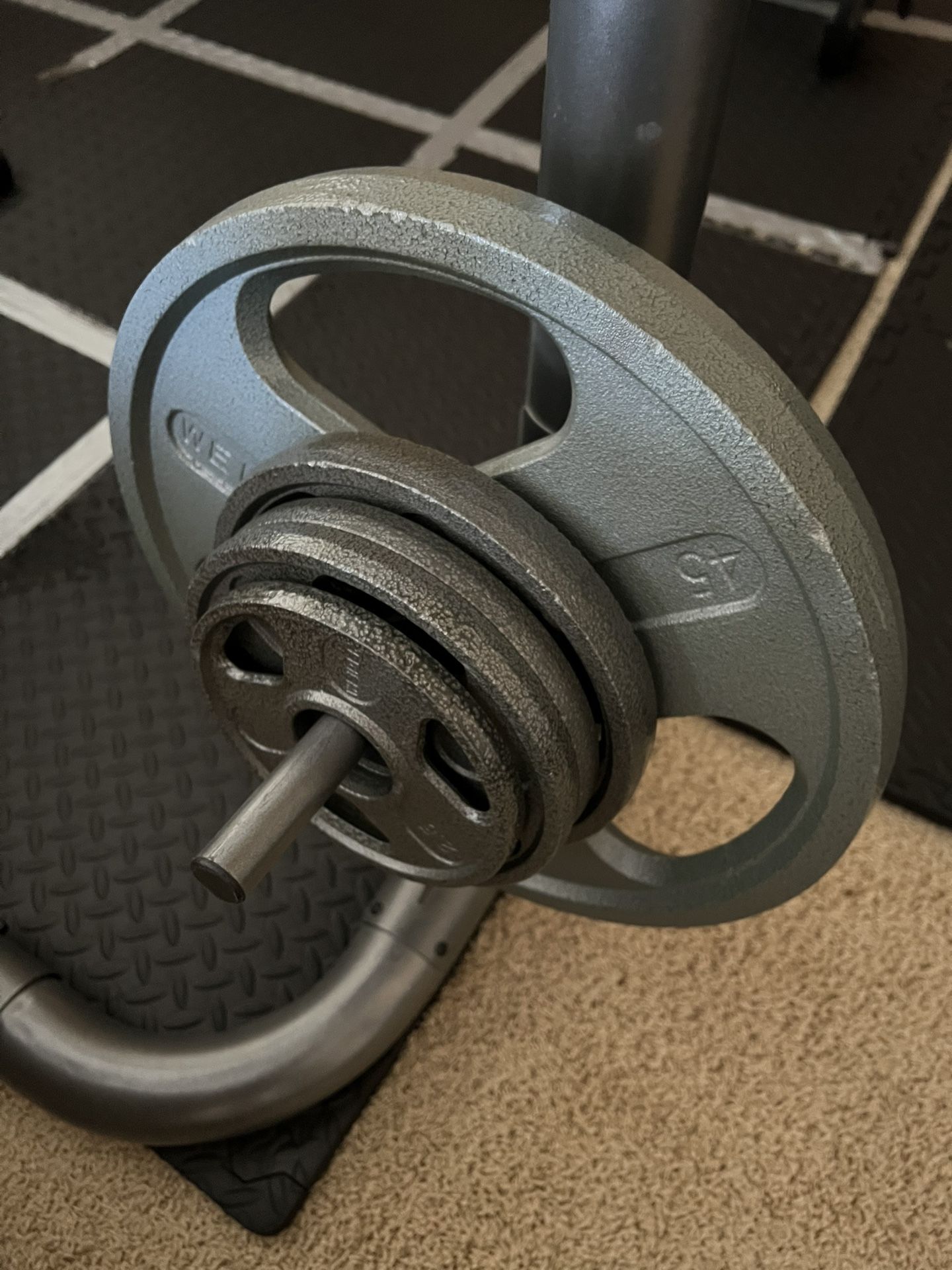 Dumbbells and Olympic (2'') Weight Plate Plates